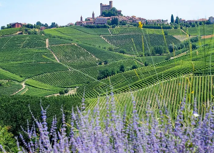 Foresteria, Winery & Events Destination Bed & Breakfast *