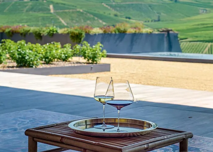 Foresteria, Winery & Events Destination Monforte dʼAlba